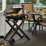 All Foods Roll-Away Gas Grill - Image 5