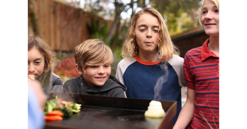 Gourmet Two Burner Gas Griddle - Image 2