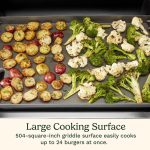 28" Outdoor Griddler - 2-in-1 Griddle & Broiler - Image 4